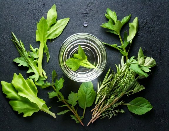 Herbs and probiotics