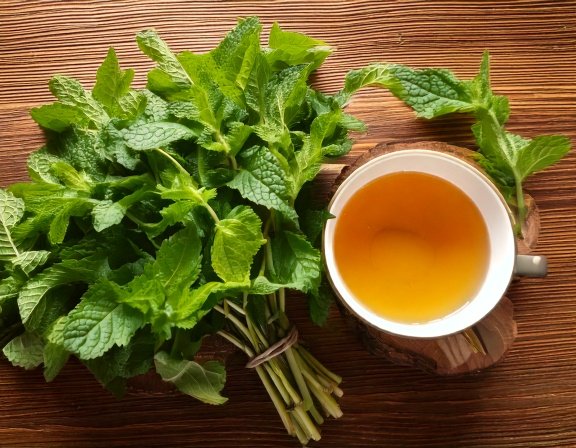 Peppermint, ginger, and milk thistle tea setup for digestion