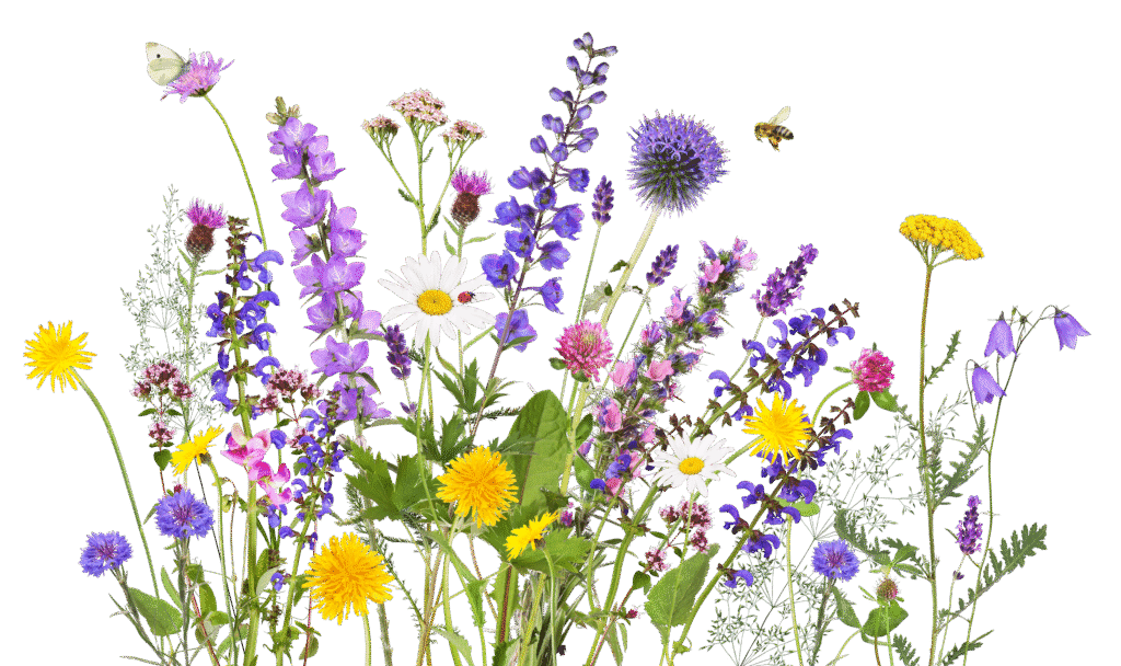 Basket of fresh immunity vegetables
