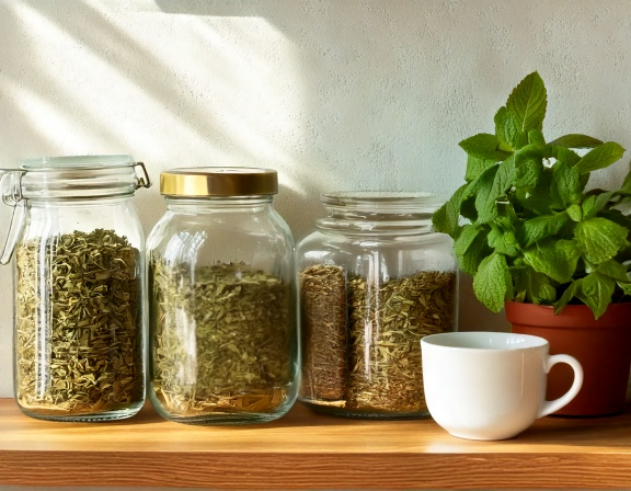 Peppermint leaves drying for tea