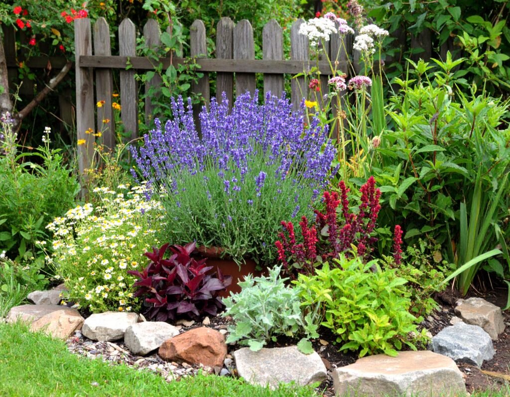 Design layout for calming herb bed