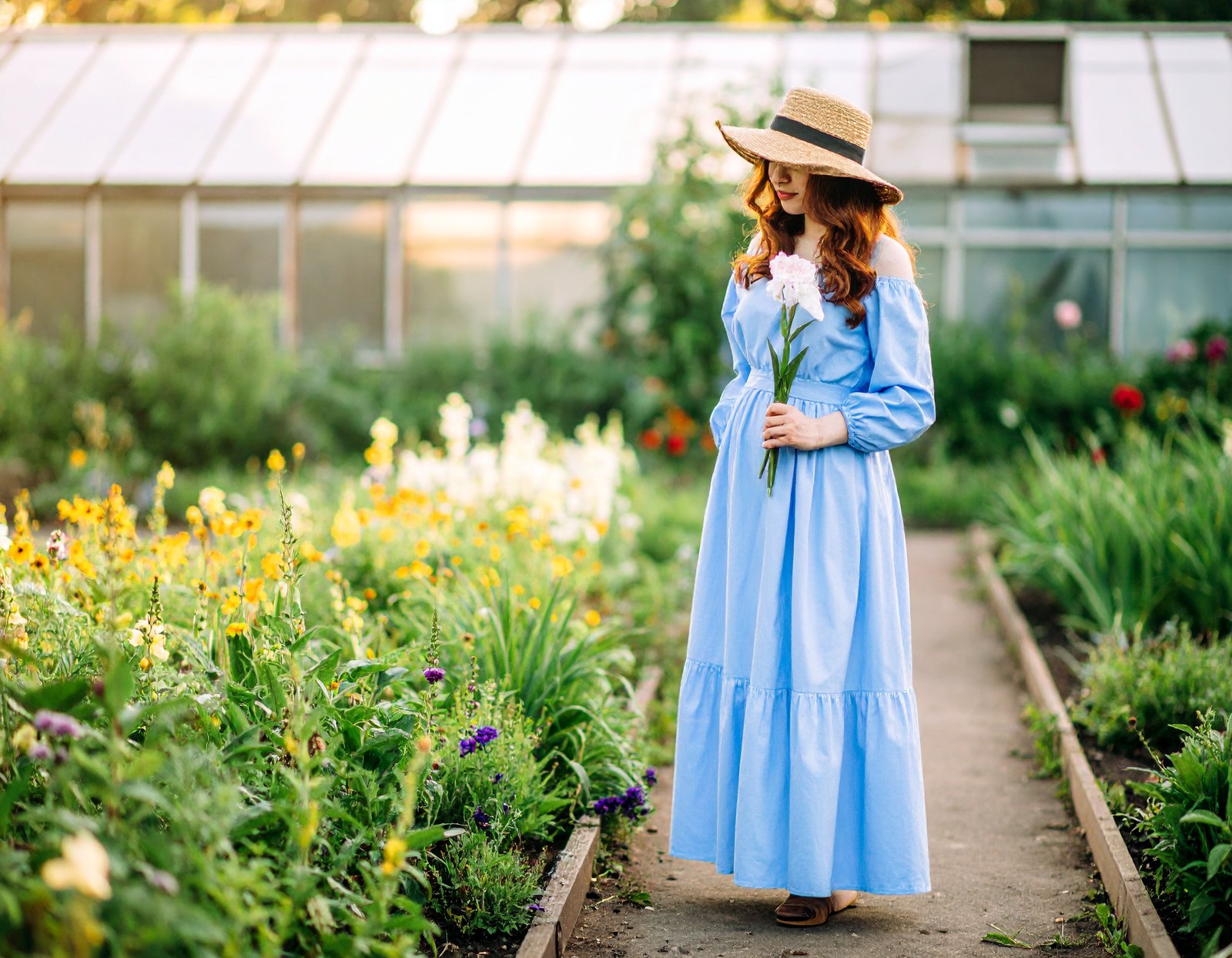 Fresh flowers, leaves, roots, seeds and bark arranged for home herbalism