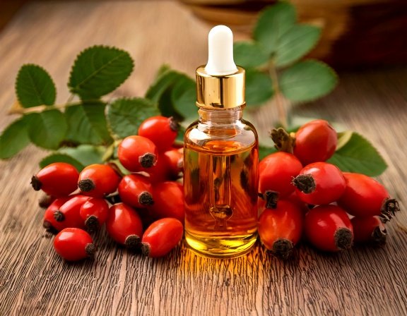 Rosehip berries on stem