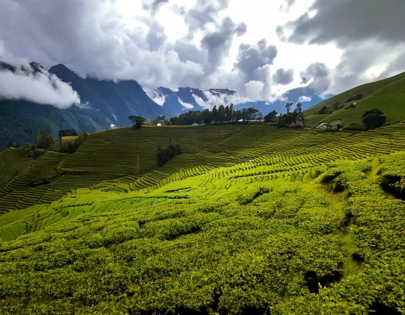 Andean mountain landscape with maca fields and clouds