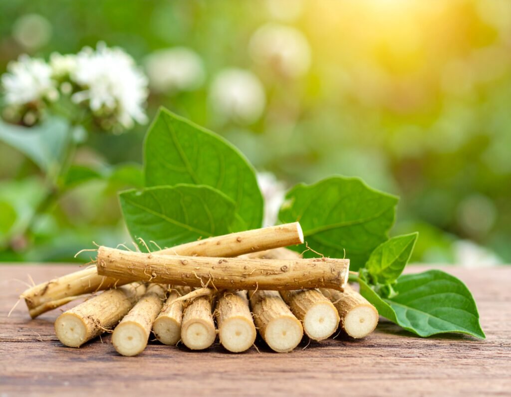 Ashwagandha root, cleaned and dried on top of a rustic table