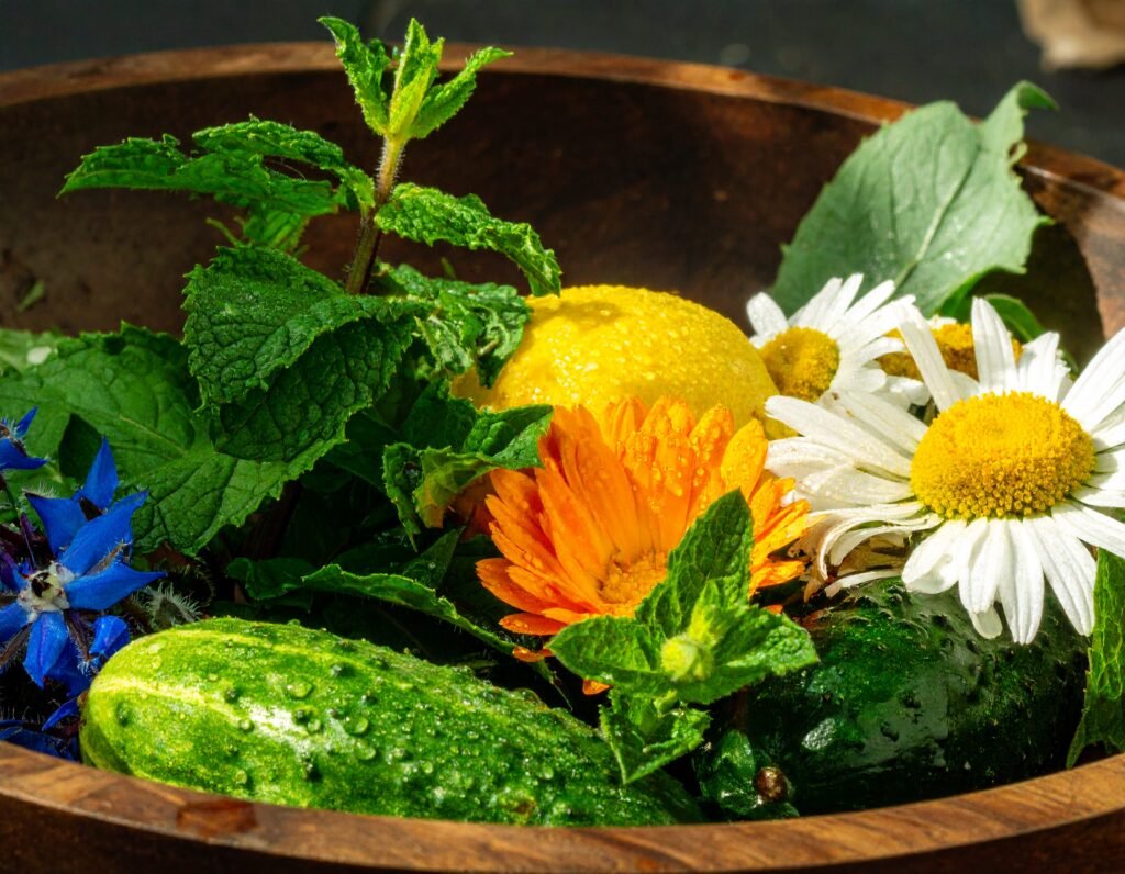 Close up of freshly harvested summer soother herbs