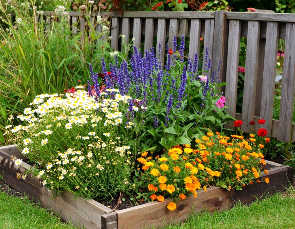 Design your anti-inflammatory bed