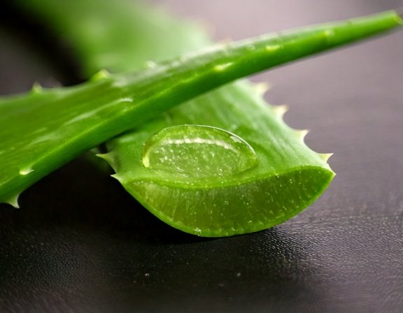 Fresh aloe vera gel in glass jar