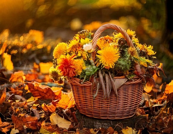 Fall Detox Garden Guide