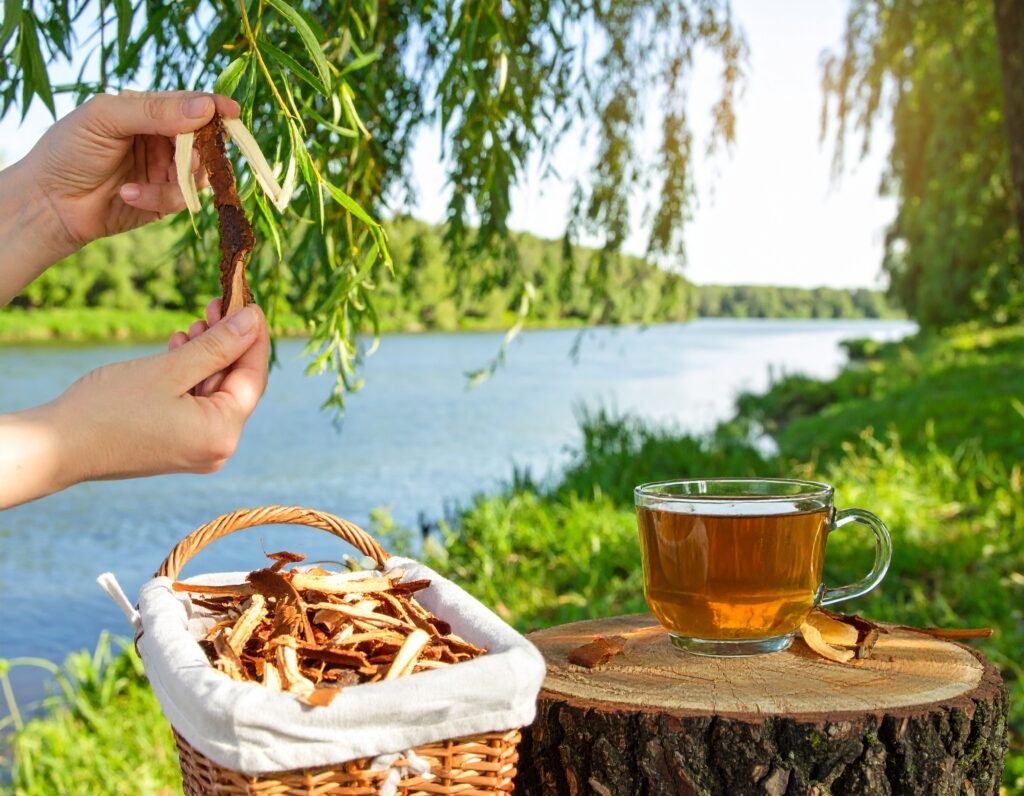Willow tree by riverbank with bark strips and basket