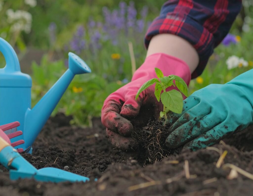 Planting summer herbs PDF