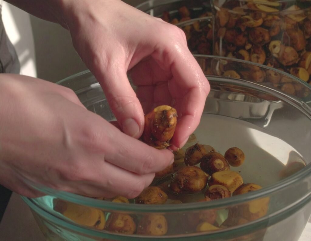 Hands scrubbing roots and slicing into coins