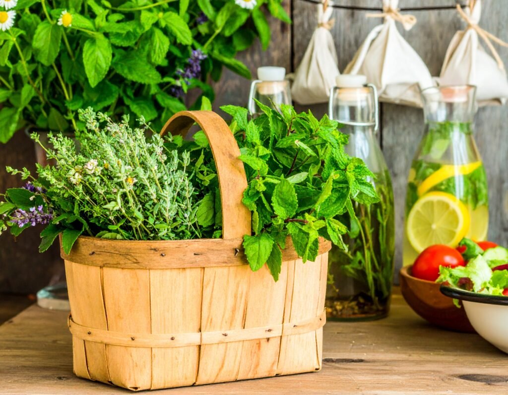 Basket with fresh herbs for summer use