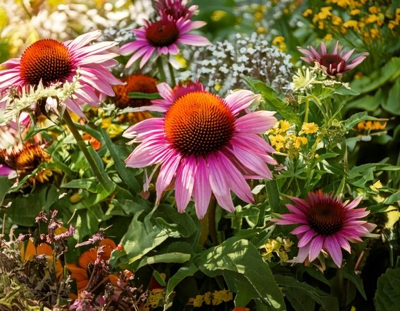 How to plan a spring immunity garden