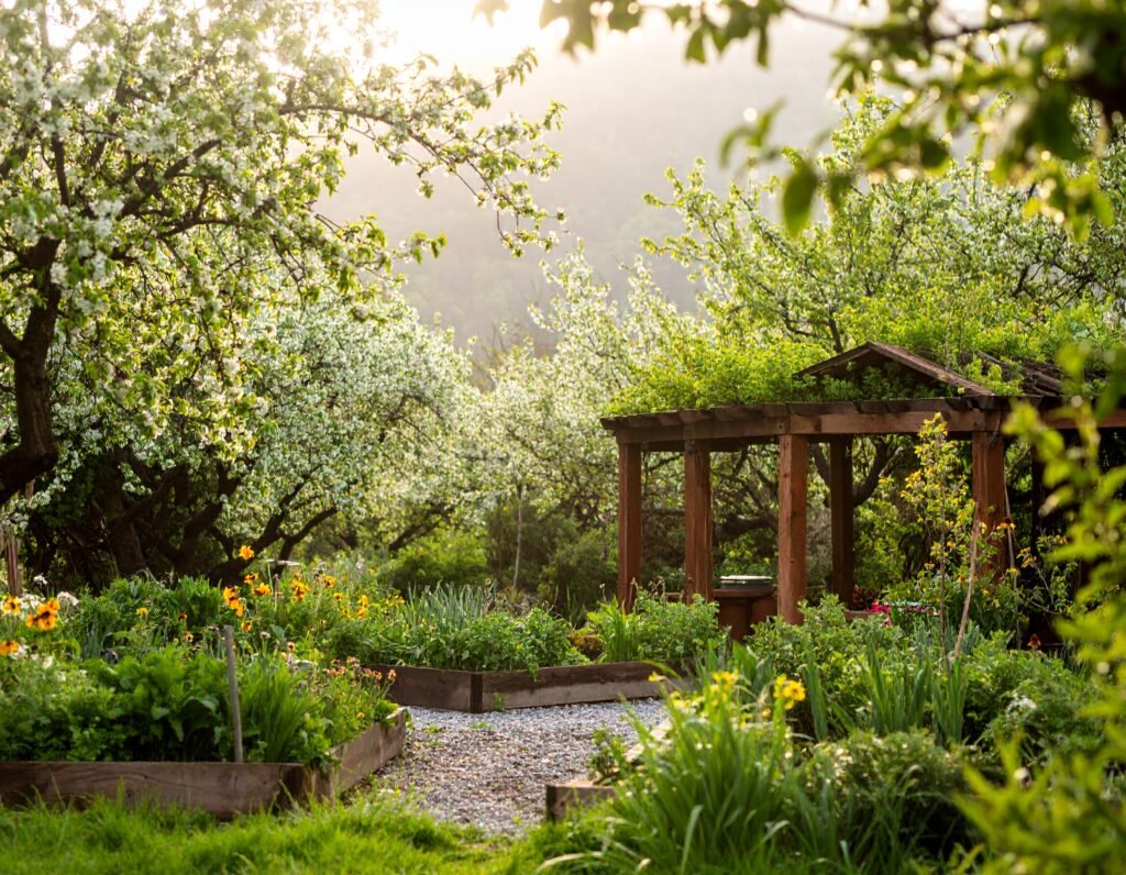 Lush spring garden beds with herbs and flowers