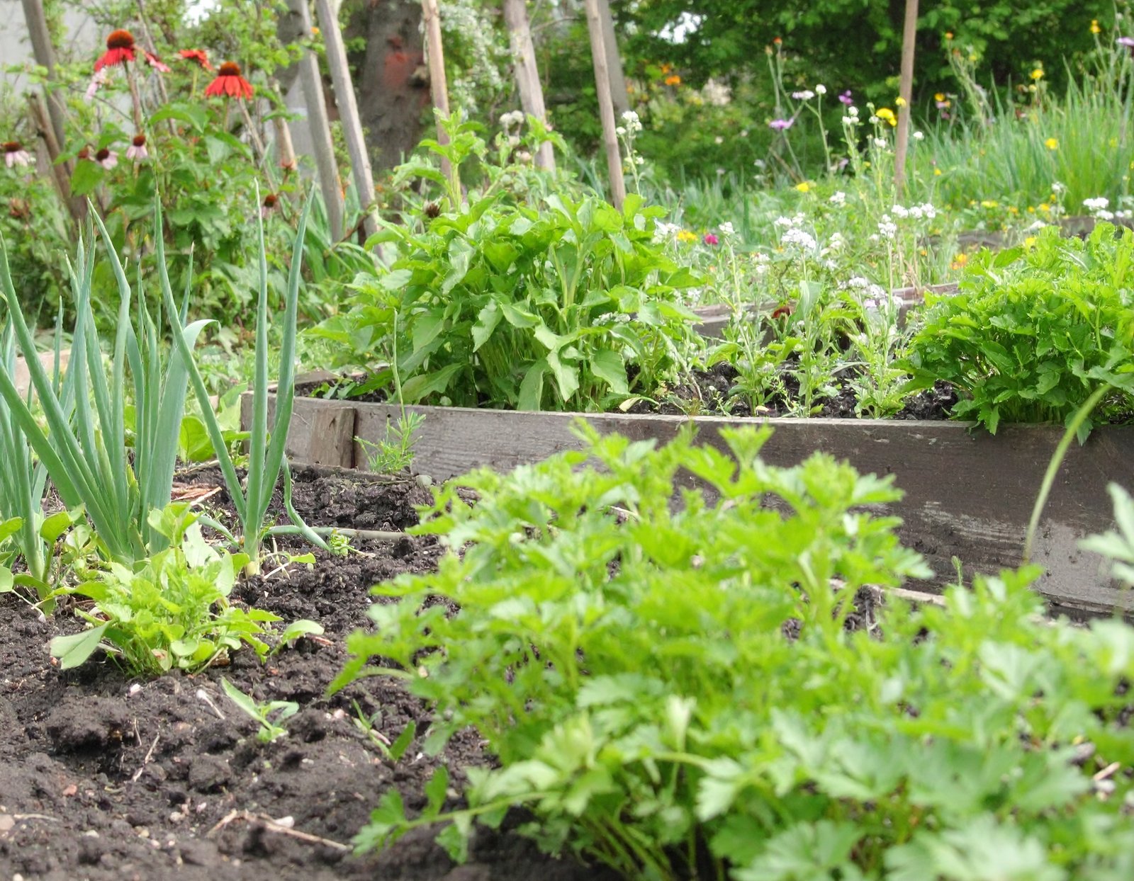 Garden Season Header Image