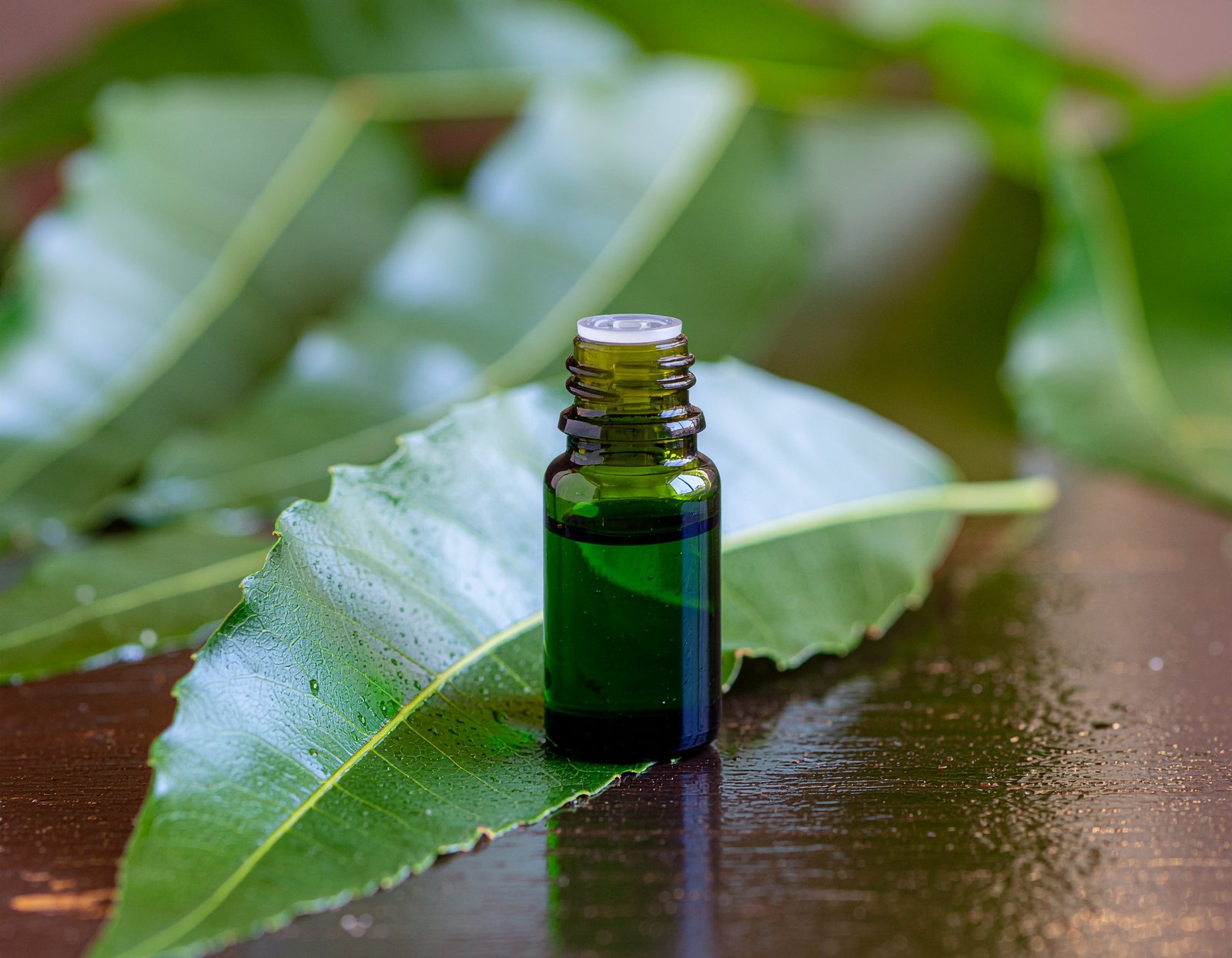 Describe your image here