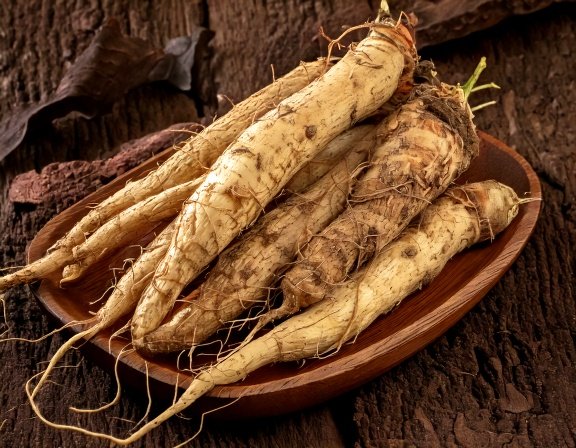 Shatavari roots for women’s health