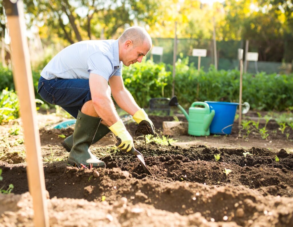 Step-by-step soil prep and sowing sequence for fall herbs