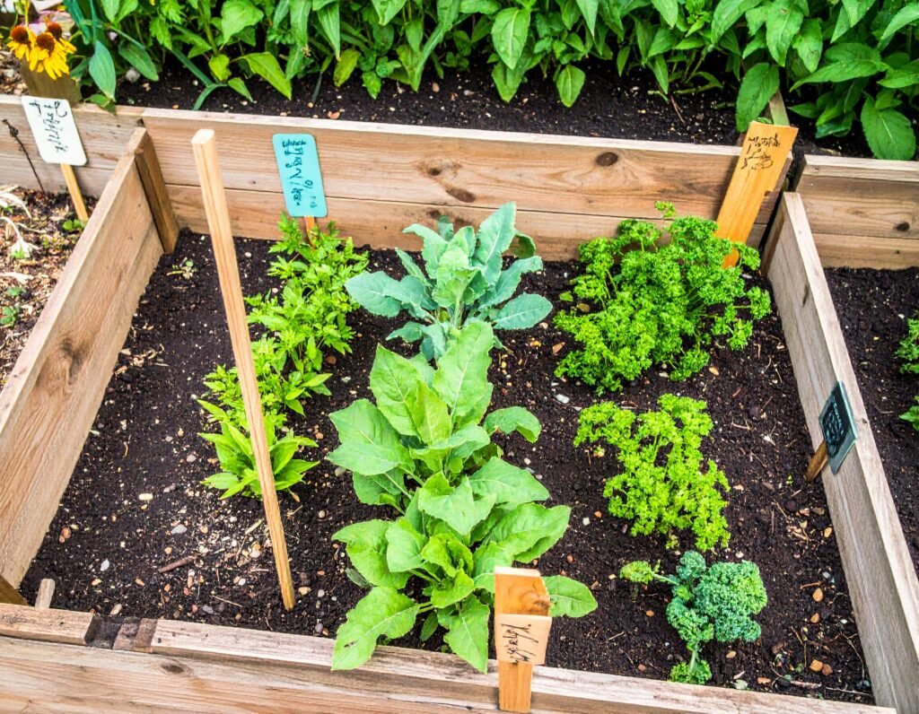 Top down view of spring garden plan