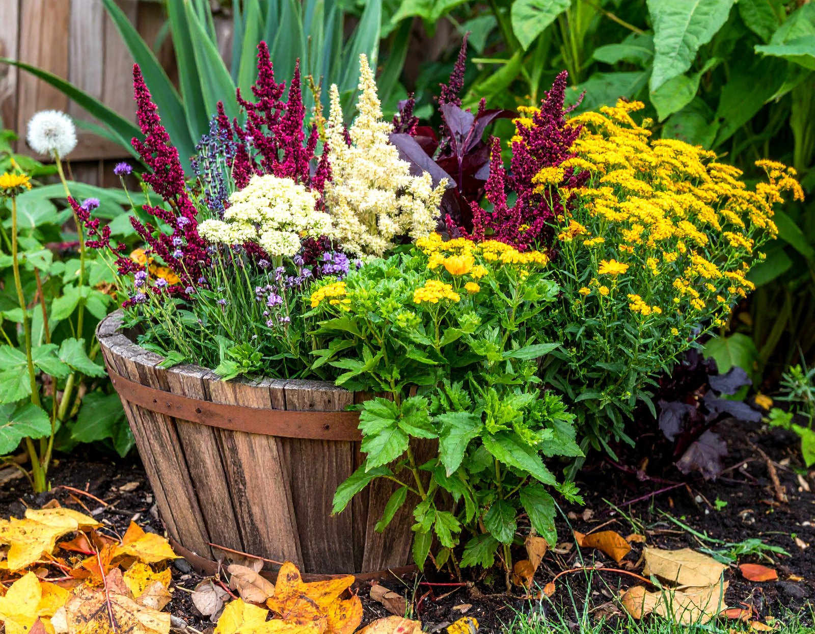 Fall detox garden bed