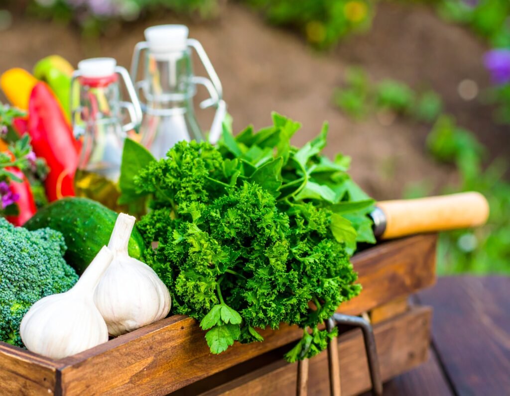 Immune garden PDF kit