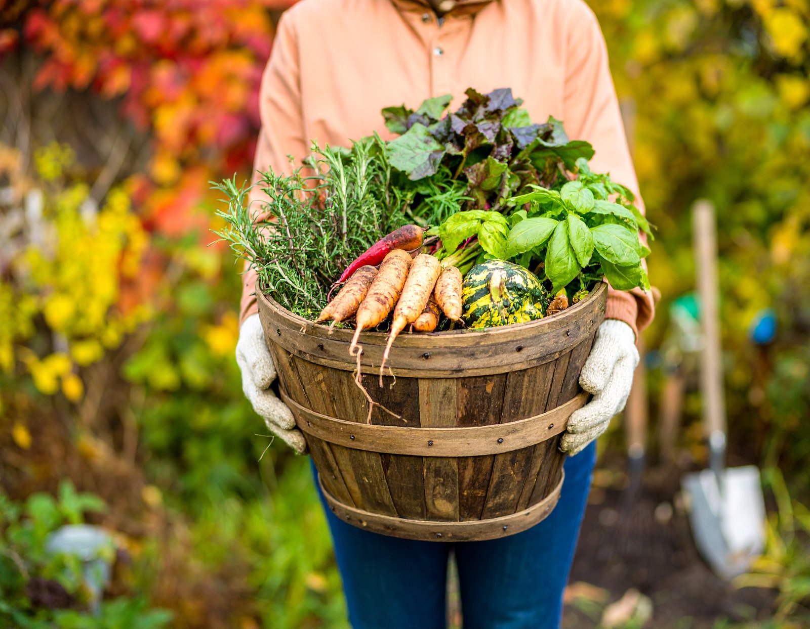 Basket of freshly harvested fall detox herbs and roots