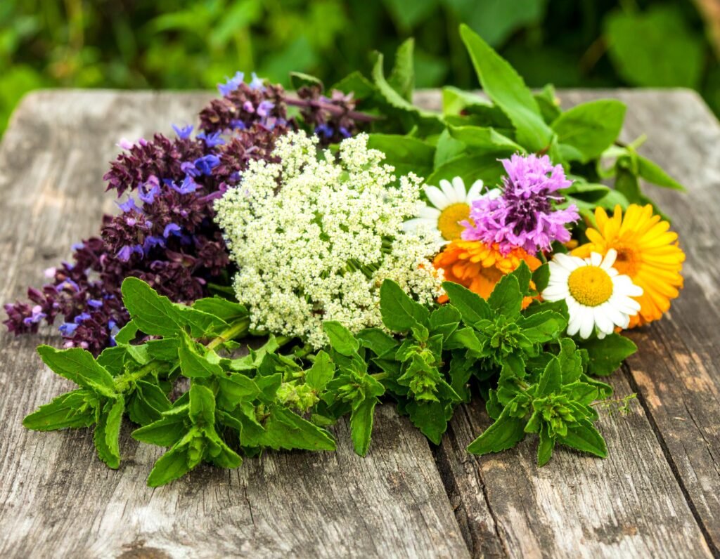 Mixed calming herbs in flower
