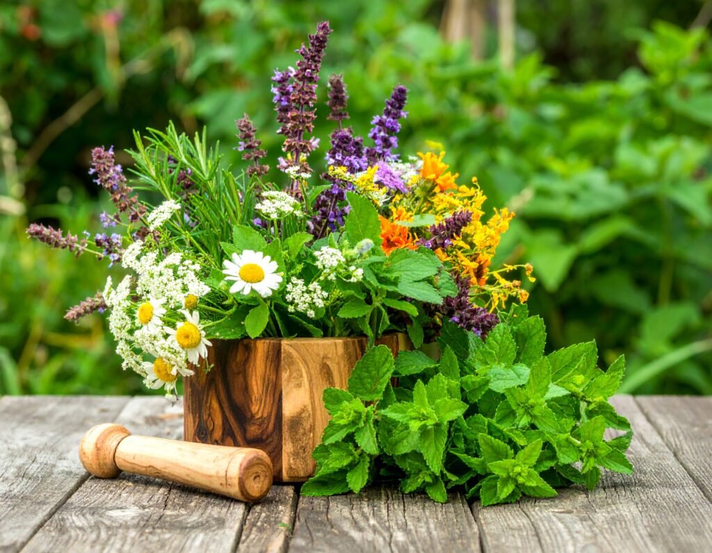 Mixed calming herbs in flower