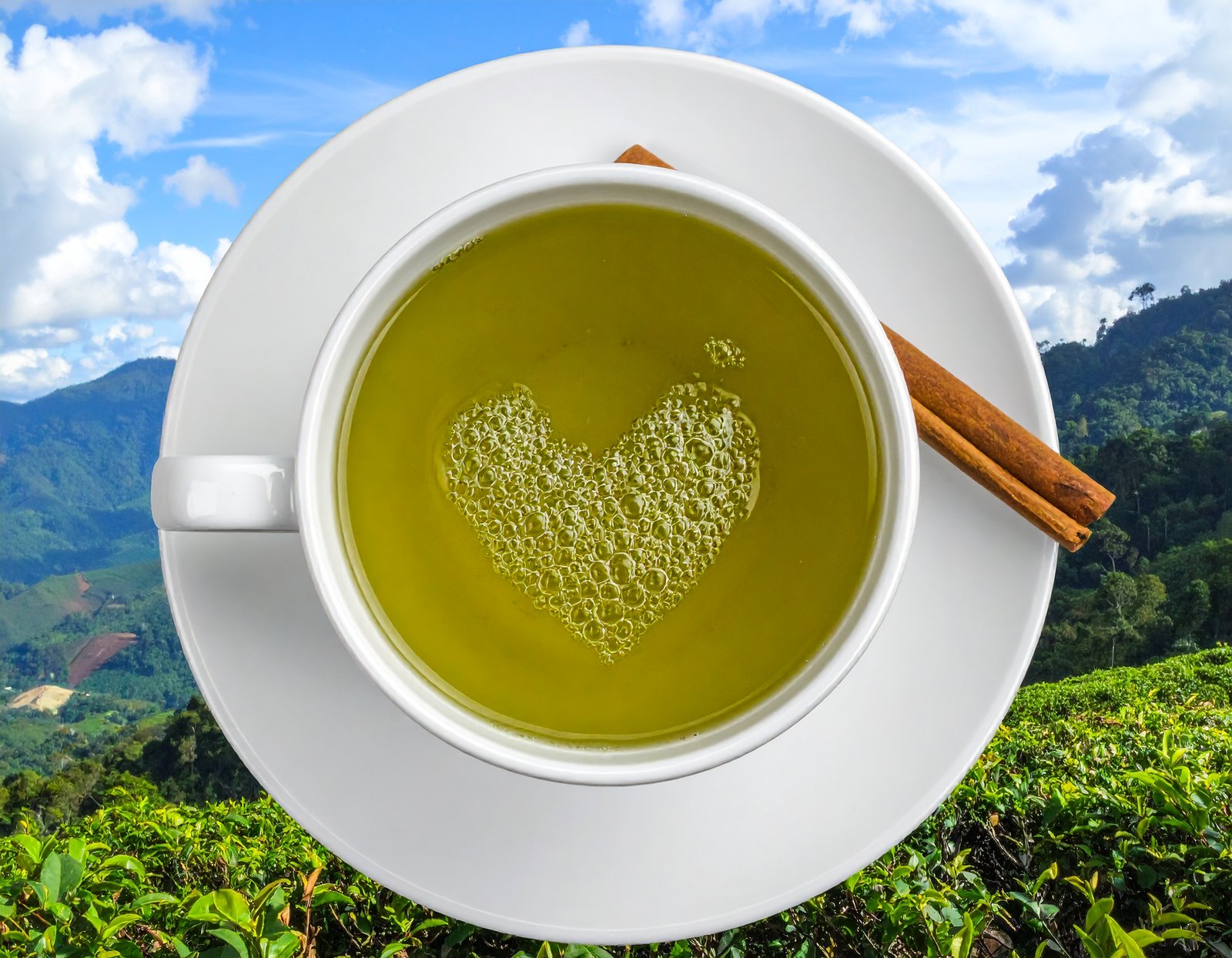 Loose green tea leaves, a steaming cup of tea, and a bamboo tea strainer on a clean white counter with greenery in the background