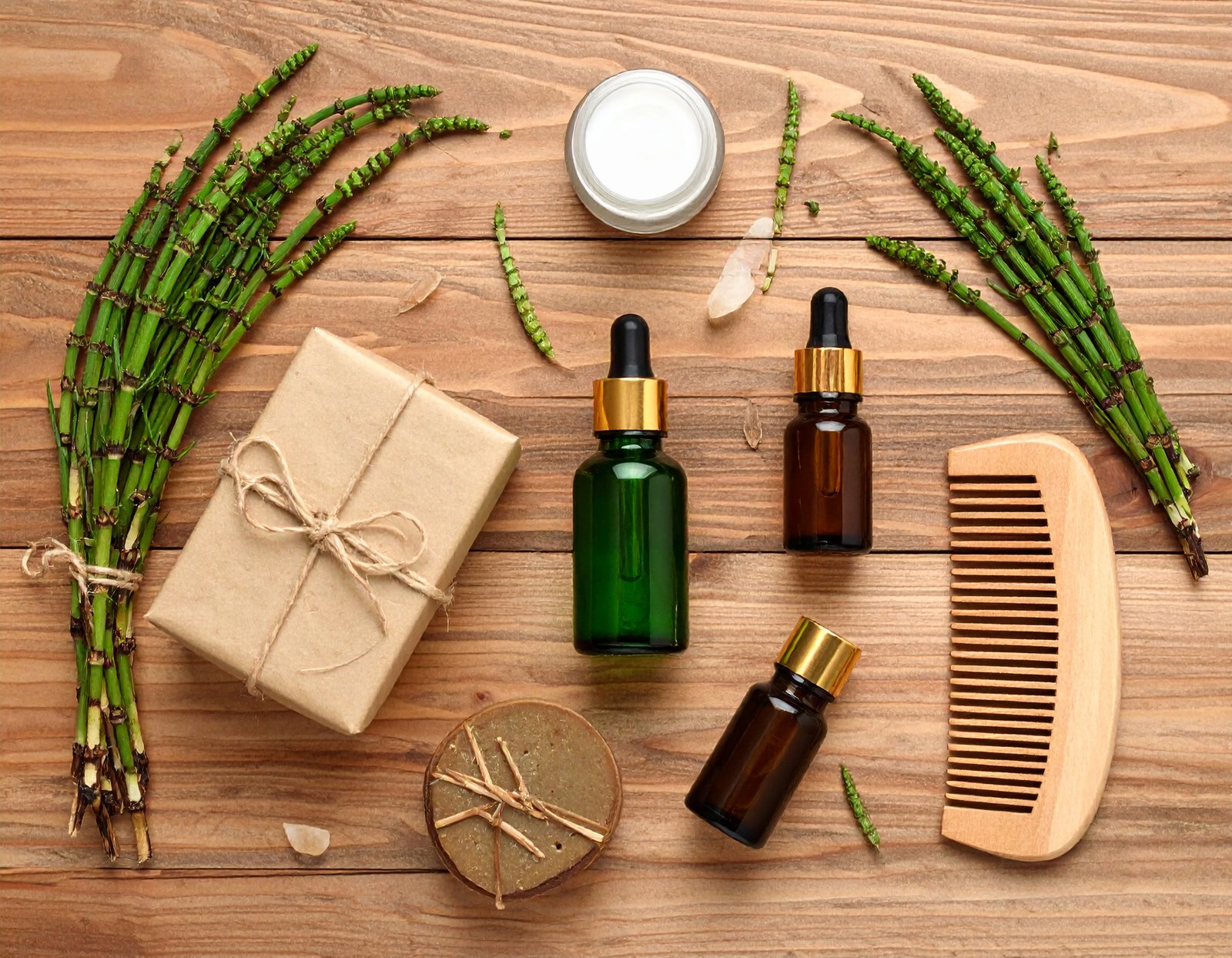 Macro of horsetail stem