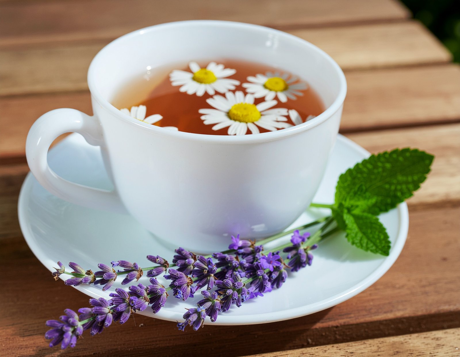 Lavender flowers for calming teas and sleep support
